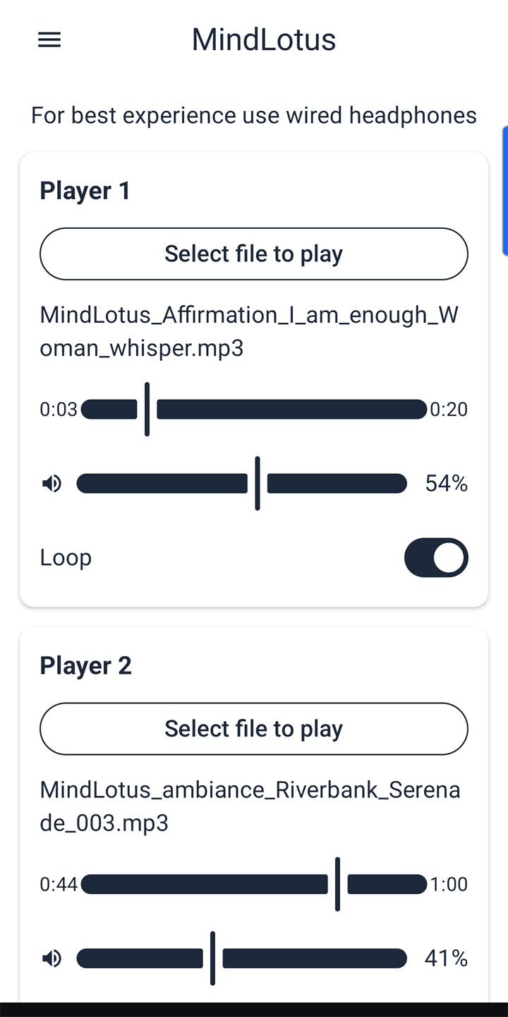 Screenshot of the dual player in light theme